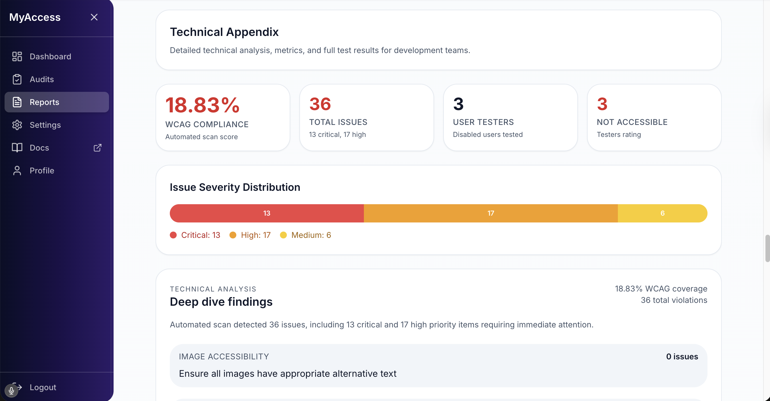 Report summary showing WCAG compliance, issue counts, and severity distribution.